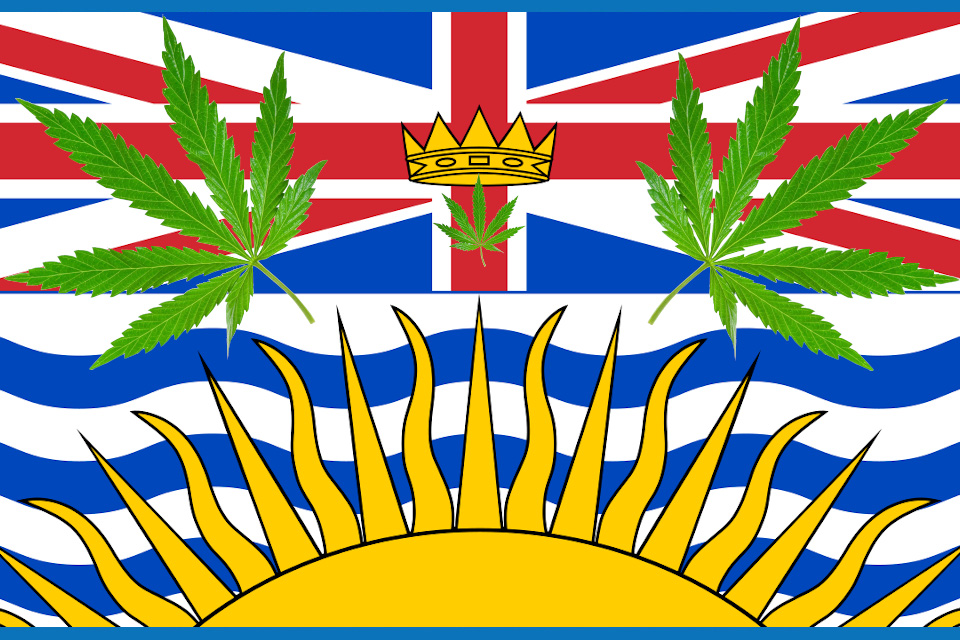 bc flag with cannabis leaves