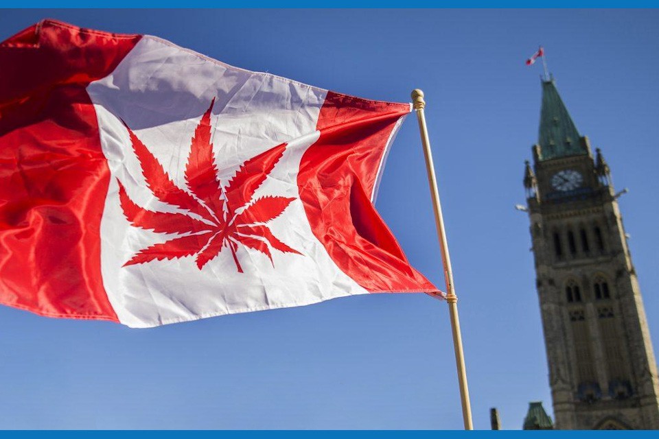 canadian cannabis flag next to parliament