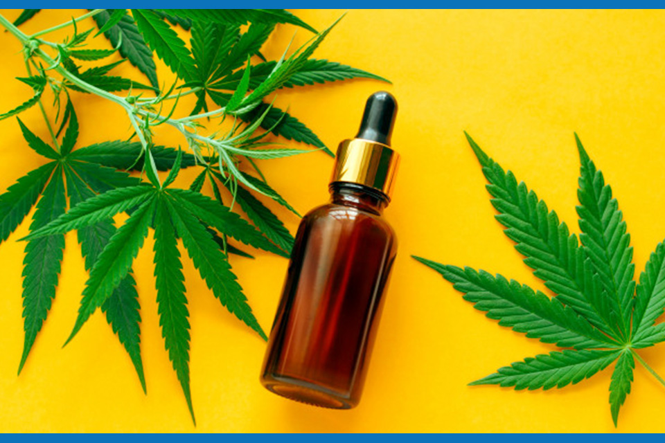 cannabis oil bottle next to cannabis leaves